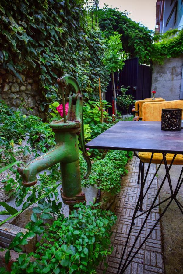 12 B&B Shkodër Exterior foto